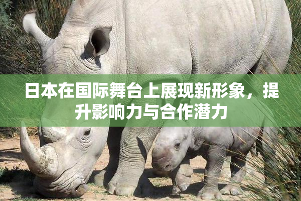 日本在国际舞台上展现新形象，提升影响力与合作潜力