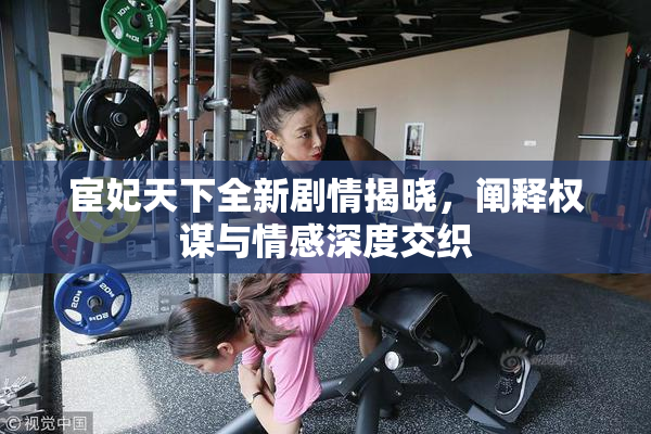 宦妃天下全新剧情揭晓，阐释权谋与情感深度交织