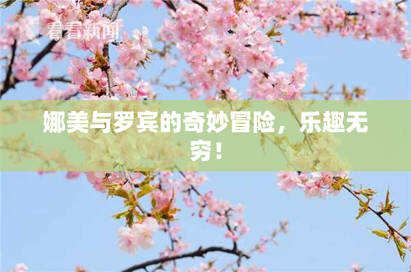 娜美与罗宾的奇妙冒险，乐趣无穷！