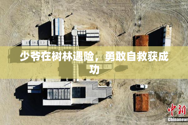 少爷在树林遇险，勇敢自救获成功