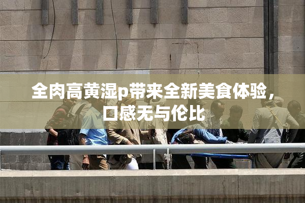 全肉高黄湿p带来全新美食体验，口感无与伦比