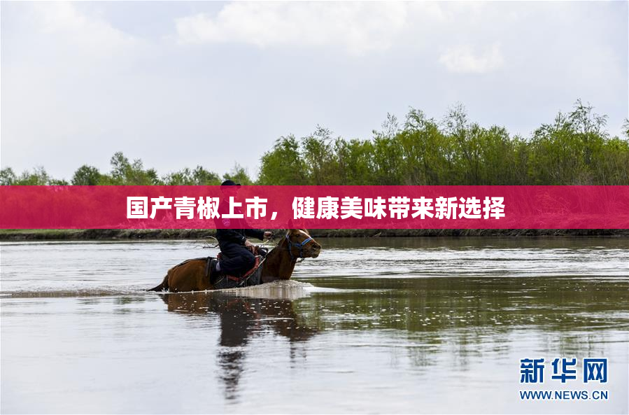 国产青椒上市，健康美味带来新选择
