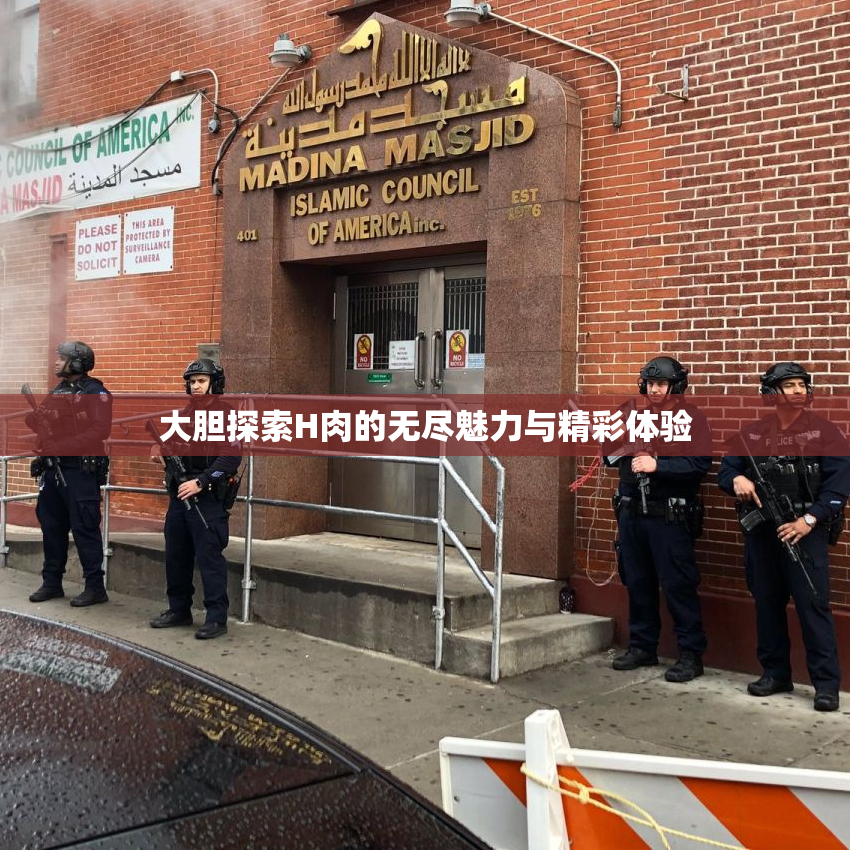 大胆探索H肉的无尽魅力与精彩体验