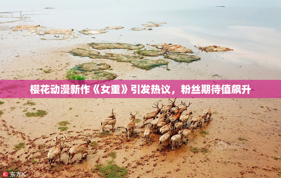 樱花动漫新作《女重》引发热议，粉丝期待值飙升