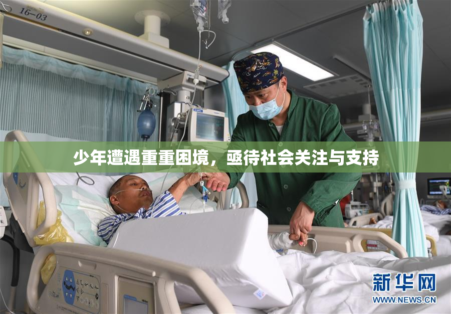 少年遭遇重重困境，亟待社会关注与支持