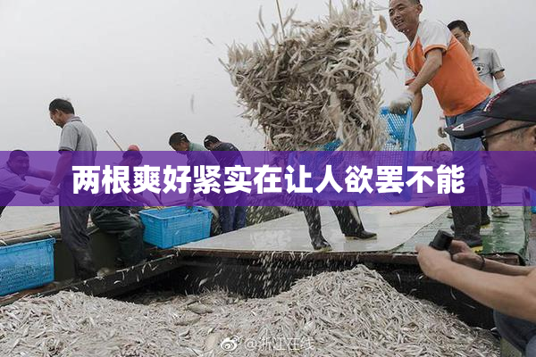 两根爽好紧实在让人欲罢不能