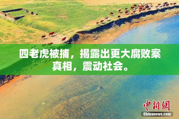 四老虎被捕，揭露出更大腐败案真相，震动社会。