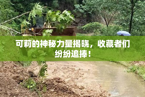 可莉的神秘力量揭晓，收藏者们纷纷追捧！