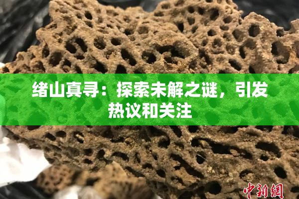 绪山真寻：探索未解之谜，引发热议和关注