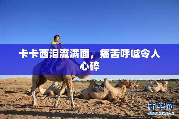 卡卡西泪流满面，痛苦呼喊令人心碎