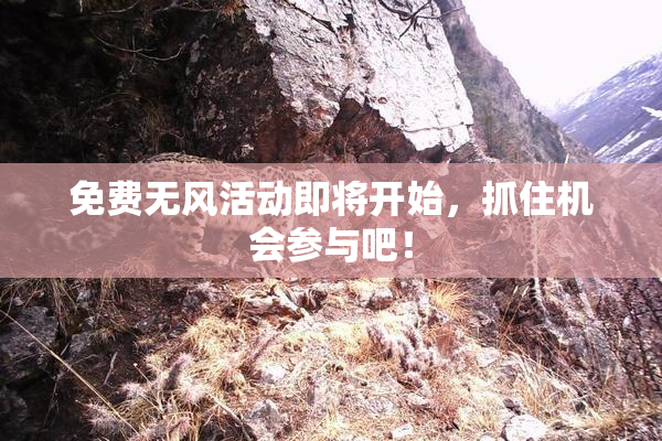 免费无风活动即将开始，抓住机会参与吧！