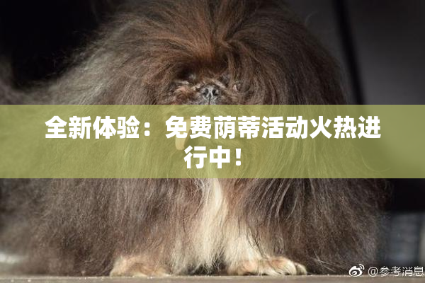 全新体验：免费荫蒂活动火热进行中！