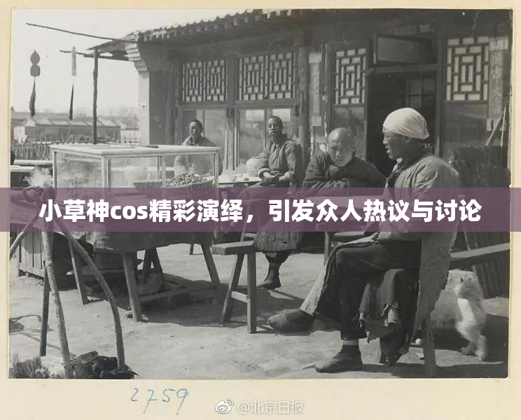 小草神cos精彩演绎，引发众人热议与讨论