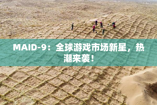 MAID-9：全球游戏市场新星，热潮来袭！