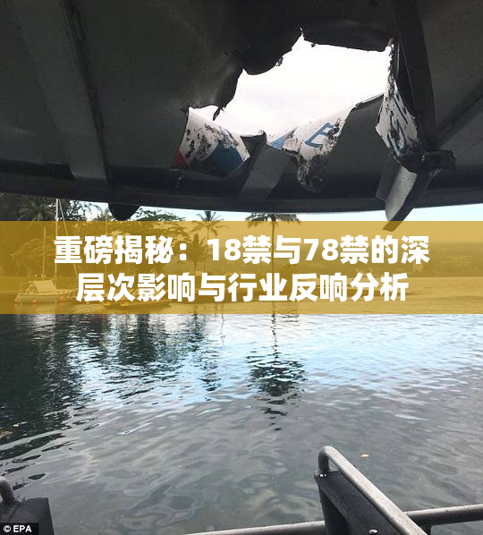 重磅揭秘：18禁与78禁的深层次影响与行业反响分析