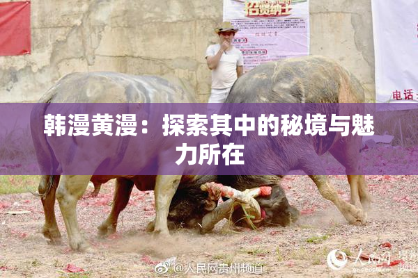 韩漫黄漫：探索其中的秘境与魅力所在