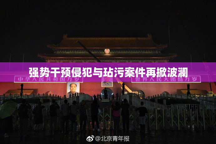 强势干预侵犯与玷污案件再掀波澜