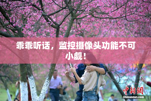 乖乖听话，监控摄像头功能不可小觑！