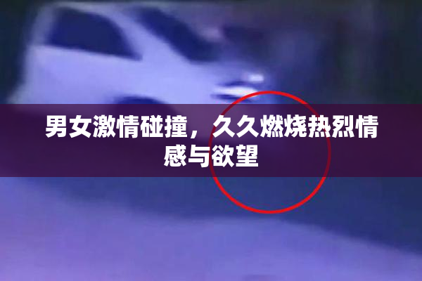 男女激情碰撞，久久燃烧热烈情感与欲望