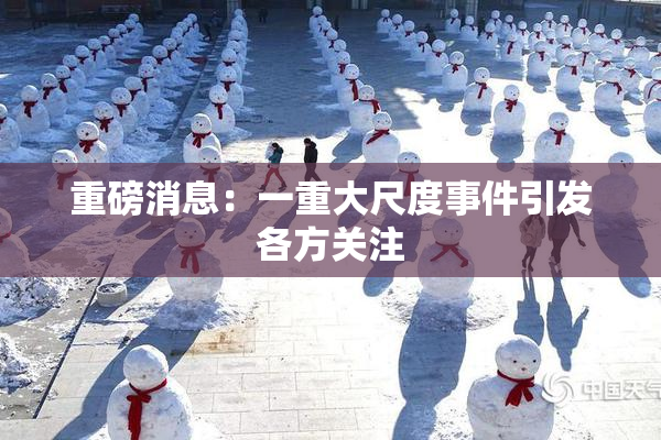 重磅消息：一重大尺度事件引发各方关注