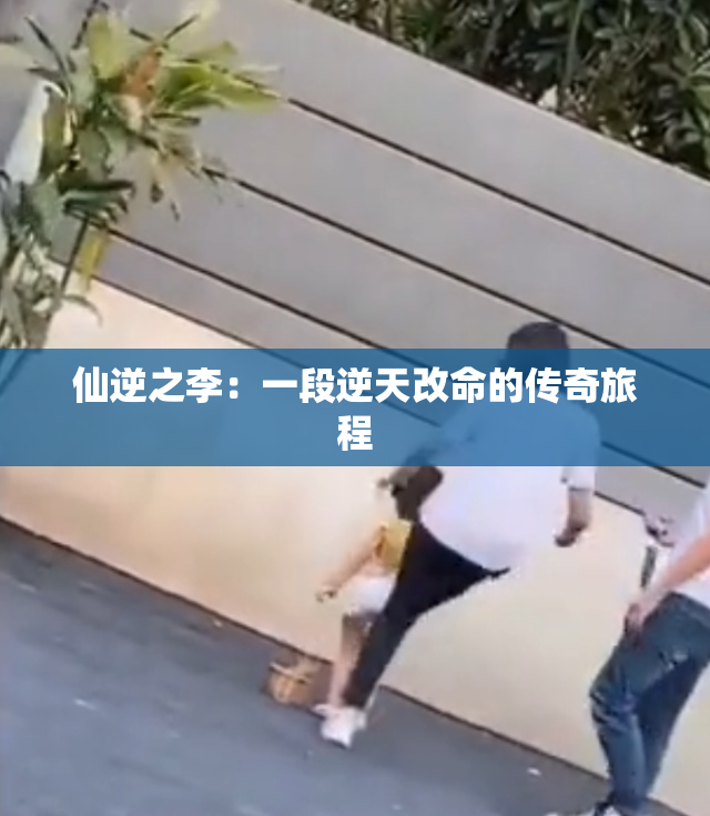 仙逆之李：一段逆天改命的传奇旅程