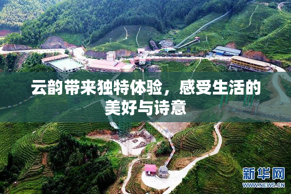 云韵带来独特体验，感受生活的美好与诗意