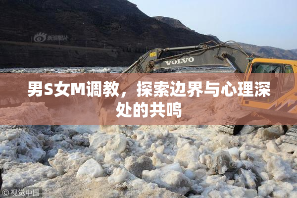 男S女M调教，探索边界与心理深处的共鸣