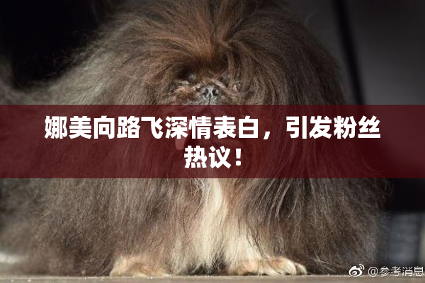 娜美向路飞深情表白，引发粉丝热议！