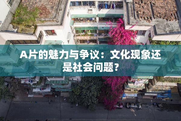 A片的魅力与争议：文化现象还是社会问题？