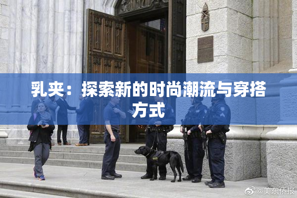 乳夹：探索新的时尚潮流与穿搭方式