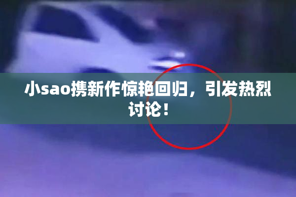 小sao携新作惊艳回归，引发热烈讨论！