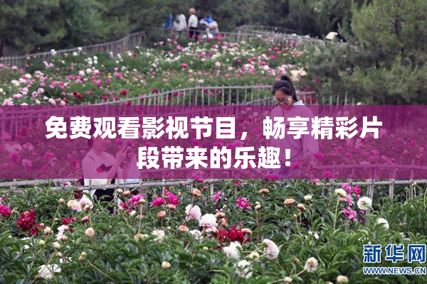 免费观看影视节目，畅享精彩片段带来的乐趣！