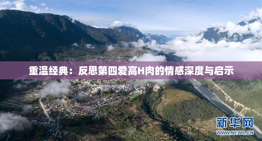 重温经典：反思第四爱高H肉的情感深度与启示