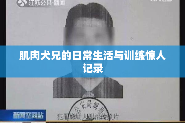 肌肉犬兄的日常生活与训练惊人记录