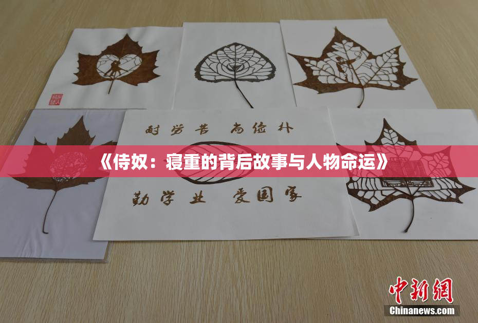 《侍奴：寝重的背后故事与人物命运》