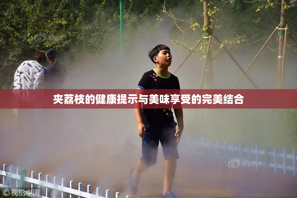 夹荔枝的健康提示与美味享受的完美结合
