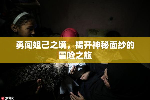 勇闯妲己之境，揭开神秘面纱的冒险之旅