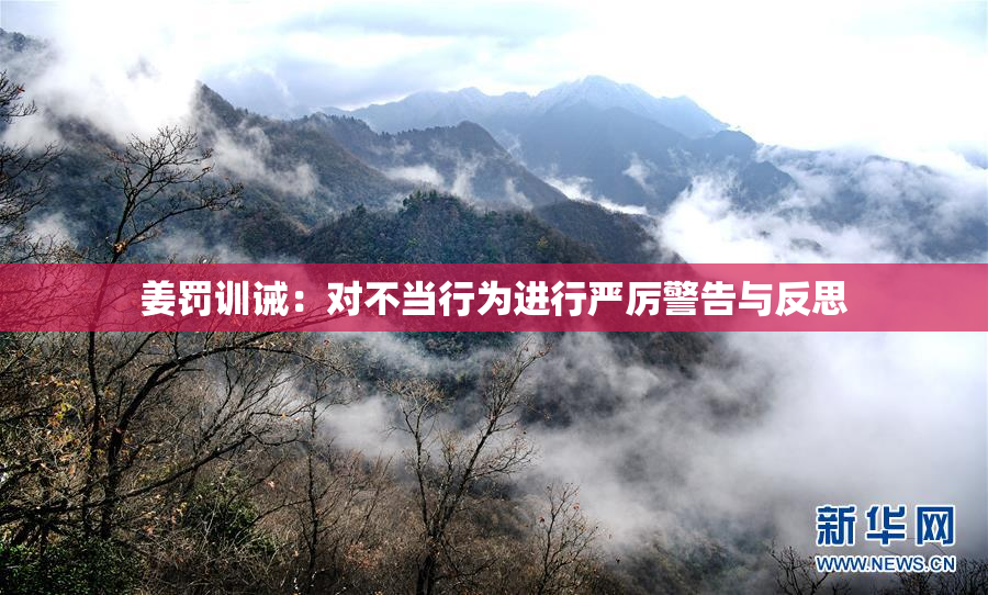 姜罚训诫：对不当行为进行严厉警告与反思