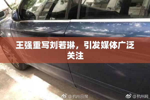王强重写刘若琳，引发媒体广泛关注