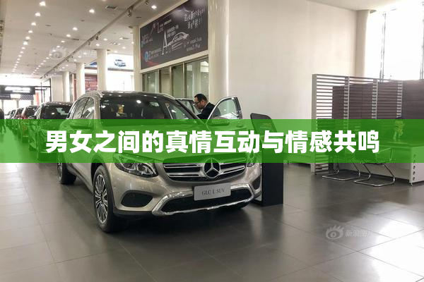 男女之间的真情互动与情感共鸣