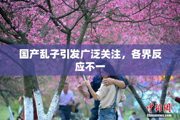 国产乱子引发广泛关注，各界反应不一