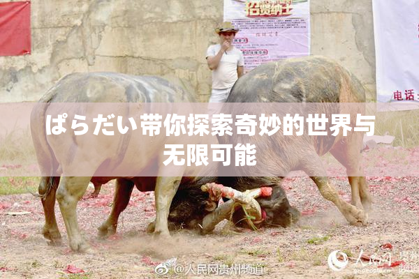 ぱらだい带你探索奇妙的世界与无限可能