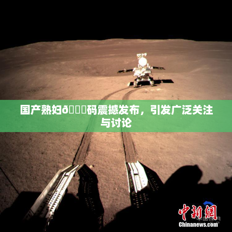 国产熟妇🈚码震撼发布，引发广泛关注与讨论