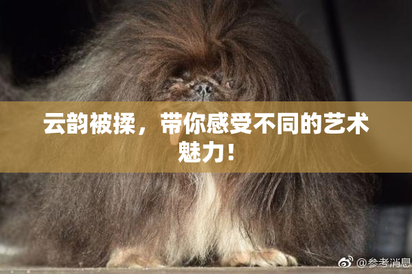 云韵被揉，带你感受不同的艺术魅力！