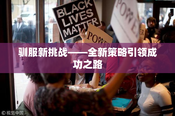 驯服新挑战——全新策略引领成功之路