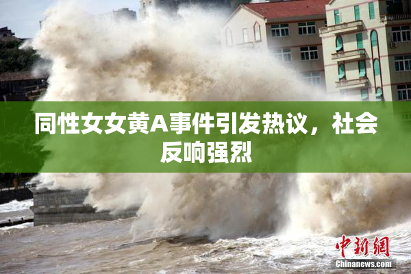 同性女女黄A事件引发热议，社会反响强烈