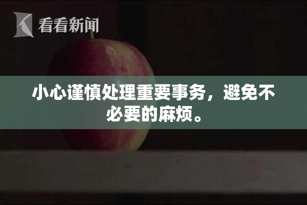 小心谨慎处理重要事务，避免不必要的麻烦。