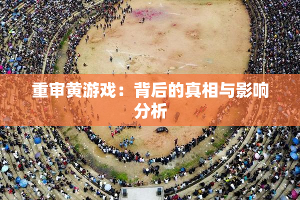 重审黄游戏：背后的真相与影响分析