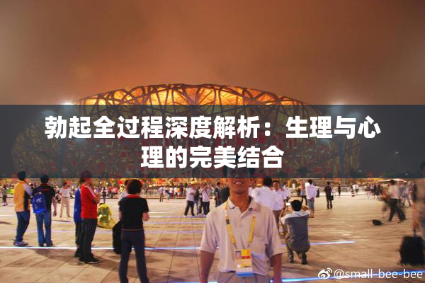 勃起全过程深度解析：生理与心理的完美结合