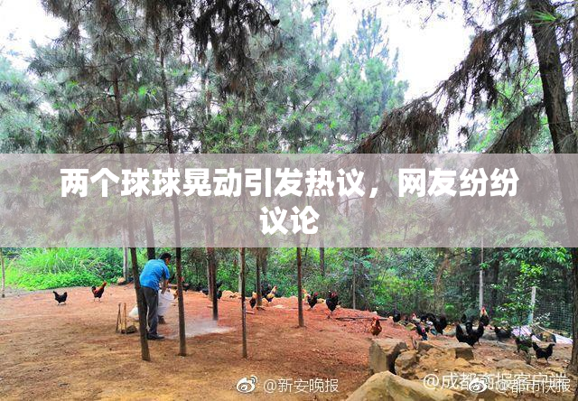 两个球球晃动引发热议，网友纷纷议论